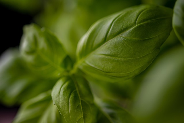 ** Z jakich resztek warzyw i ziół NAJLEPIEJ przygotować domowe pesto? – Przegląd zaskakujących połączeń smakowych! - 5 2025